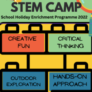 3 Days STEM Camp – Holiday Camp Nov/Dec 2022 Science Junior (For K2-P2)
