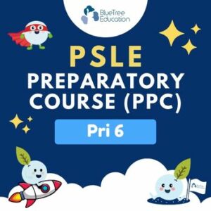 2024 PSLE Preparatory Course (PPC) (Math & Science)